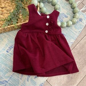 Nanette Baby Burgundy Textured Sleeveless Dress with Silver Buttons